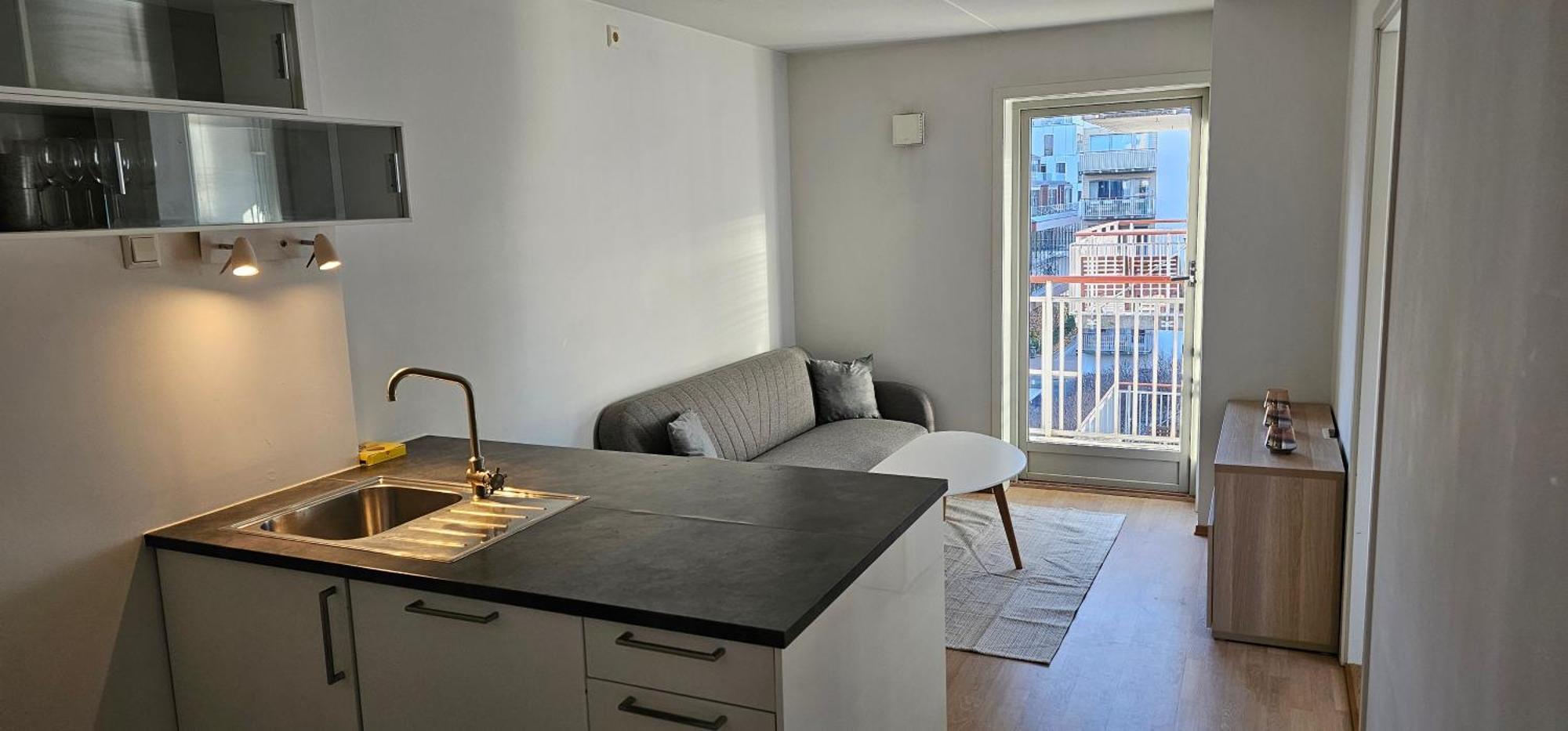 אוסלו Central 4 Bedrooom Apartment מראה חיצוני תמונה
